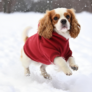 Roupas de Inverno para Cães de Designer, Poliéster Ecológico, Atacado de Vestuário para Animais de Estimação, Moletons para Cães, Moda Clássica para Mulheres, Saco OPP - Product Image 5