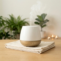Diffuseur d'huiles essentielles à ultrasons, brume froide, purificateur d'air, diffuseur d'arômes pour l'aromathérapie, support OEM et ODM, diffuseur de parfum