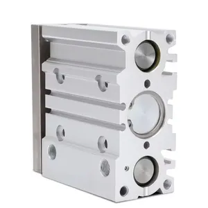 MGPM-L Series MGPM-L Series Slide Bearing Double Shaft Acting Double Piston Rods Stainless Steel Air Pneumatic Cylinder