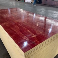 Panneau de construction multifonctionnel imperméable de première qualité, résistant à l'usure, réutilisable, écologique, contreplaqué