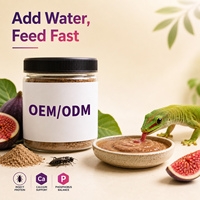 Papaya Fruit Smaak Insectenpuree Poeder voor Reptielen Gekko Kleine Hagedis Zachte Pasta Aangepaste Formule Rechtstreeks van de Fabriek Lage Minimum Bestelhoeveelheid