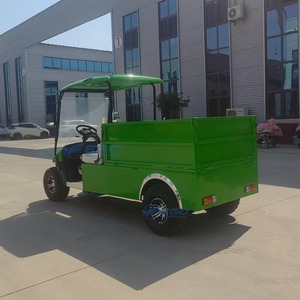 Carrito de Golf Eléctrico de 2 Plazas, Diseño Pequeño Personalizado, Buggy de Golf Verde, Herramientas de Golf de Alta Calidad - Product Image 5