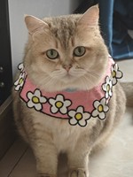 Bandana tricotée pour animaux de compagnie, motif dessin animé, pour Noël, Halloween, Nouvel An, accessoire photo, serviette anti-salive festive pour chat, chien, chaton, chiot, Garfield