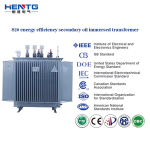 Trung Quốc hentg MV & HV máy biến áp nhà máy giá onan IEEE/ANSI/DOE 50kva 200kva 1250kva S20 ba giai đoạn dầu đắm mình biến áp - Product Image 3