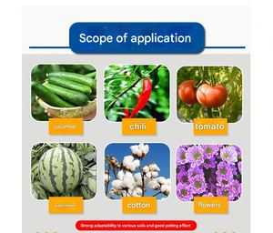 Factory Nutrient Soil Filling Machine for Flowers and Plants Nutrient Pots Flower Pots Vegetable Seedlings Soil Filling Machine - Product Image 6