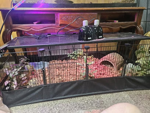 2*6 litières réutilisables pour cochons d'Inde, lavables, absorbantes, coussinets pour <span class=keywords><strong>pipi</strong></span> - Product Image 5