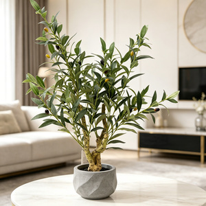 Mini <span class=keywords><strong>Olivier</strong></span> Artificiel Écologique en Pot de 80 cm (2 pieds) Style Soie avec Base Lourde pour Décoration de Table de Salle à Manger - Product Image 1