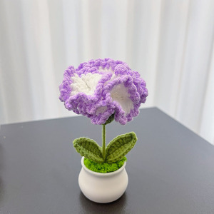 Regalo Creativo y Moderno para el Día de la Madre, Flor de Carnation Tejida a Crochet en Maceta, Hecho a Mano - Product Image 2