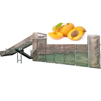 Chinese leverancier grote capaciteit gaasband drooglijn voor gedroogde abrikozen en fruit