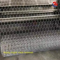 Panier gabion galvanisé à chaud avec revêtement PVC, taille personnalisée, en treillis métallique pour aménagement paysager et construction de riviers – Fournisseur direct usine