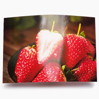 Papel Fotográfico A4 para Impresora de Inyección de Tinta, 160gsm 200gsm, Brillante, Doble Cara