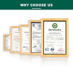 Preço por atacado Suplemento 10% 98% <span class=keywords><strong>Kaempferol</strong></span> Natural Sophora Japonica Extrato Puro <span class=keywords><strong>Kaempferol</strong></span> Em Pó - Product Image 6