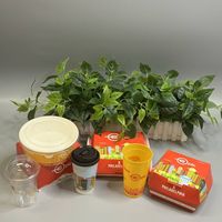 Boîtes à lunch bento durables en plastique transparent de 24oz Récipient pour aliments à emporter avec prix de gros Récipient alimentaire biodégradable
