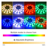 Ruban LED RGB adressable, découpable, avec télécommande, 5m/rouleau, DC12V 7.2W, 30 LED/m, avec plusieurs effets