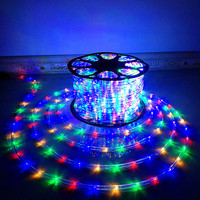Bande lumineuse LED de 100 m, étanche, pour extérieur, néon flexible, décorative, pour Noël, bande lumineuse LED ronde pour Noël