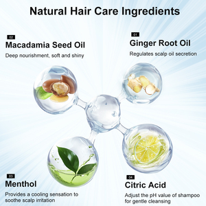 แชมพูบำรุงควบคุมน้ำมันแชมพูสำหรับผู้ชายสารสกัดจากขิงธรรมชาติทำให้สดชื่นควบคุมน้ำมันให้ความชุ่มชื่น - Product Image 4