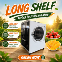 Lyofilisator Vacuümvriesdroger 3-5kg Capaciteit Voedselvriesdroger Prijs Fruit Groente Vriesdroogmachine