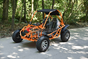 <span class=keywords><strong>Buggy</strong></span> Todoterreno 4x4 de 110 CV y 200 cc - Product Image 5