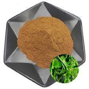 Poudre d'extrait de Cissus Quadrangularis naturel jaune de haute qualité, extraite par solvant, qualité alimentaire, d'Inde, vente en gros, best-seller - Product Image 1