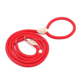 Correa de Nailon para Perro, Personalizada, de Encaje Sólido, Ajustable, Diseño Antitirones para Perros Grandes - Product Image 5