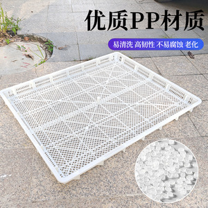 Bandeja rectangular de plástico para secar, cesta de almacenamiento de alimentos de malla blanca, reutilizable para suculentas y uso en secado - Product Image 4