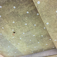 Panneau acoustique en laine de roche haute performance, ignifuge, pour la réduction du bruit dans les salles d'équipement industrielles