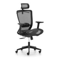 Chaise de bureau ergonomique à dossier haut en maille avec accoudoirs fixes, appui-tête fixe, soutien lombaire dynamique et pivotante pour l'école