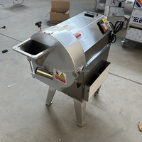 Commerciële automatische multifunctionele groente- en fruitsnijder/-versnipperaar met motor, 304 roestvrijstalen aardappelverwerkingsmachine