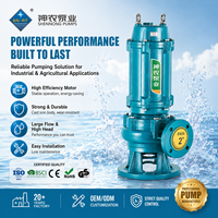 Pompe submersible pour eaux usées WQ en fonte, directement de l'usine SN, avec logo personnalisé OEM