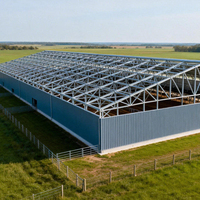 Bâtiment préfabriqué en acier économique pour élevage : abri pour porcs, bâtiment pour volailles, hangar pour bétail