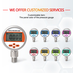 Manomètre numérique WTsensor, précision de 1 %, prix bas, usine chinoise, eau, gaz, liquide, huile, instruments de mesure, écran LCD - Product Image 4