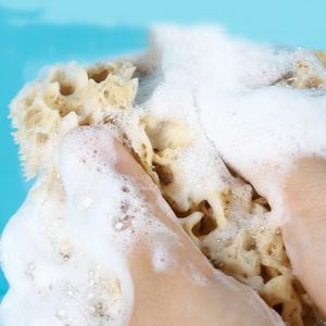 All'ingrosso, - Product Image 5