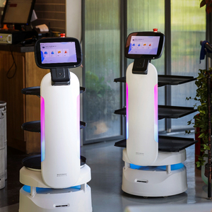 Robot Humanoide Inteligente 2026 para Servicio en el Hogar, Asistente <span class=keywords><strong>de</strong></span> Inteligencia Artificial Programable para Comercio Minorista, <span class=keywords><strong>Camarero</strong></span> Inteligente para Entrega <span class=keywords><strong>de</strong></span> Alimentos - Product Image 3