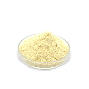 Polvo de extracto de Sophora Japonica natural Kaempferol 98% Suplemento Kaempferol - Product Image 1