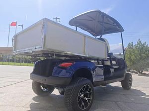 BETETEK Carro de Golf Eléctrico de 2 Plazas, Estable y Seguro, de Baja Gravedad, Antivuelco, para Campos de Golf Inclinados y Caminos Privados - Product Image 4