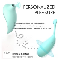Produits sexuels pour adultes : Ensemble de vibromasseurs à succion télécommandés, incluant un œuf vibrant et un vibromasseur à succion 'Honey Bean', pour la masturbation féminine