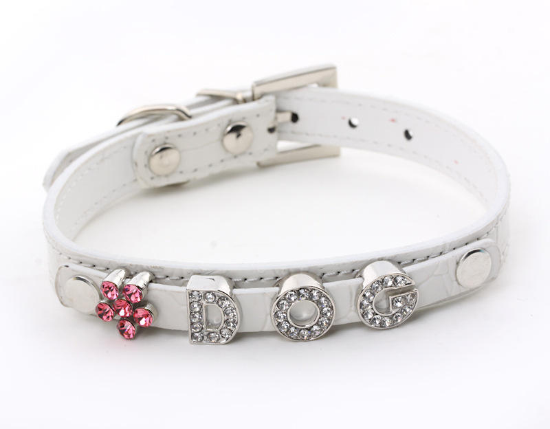 Perro mascota blanco collares de bricolaje