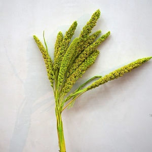 Vera e propria naturale conservata, fiori decorativi, corone e piante fiori secchi, piante all'ingrosso - Product Image 6