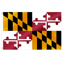 Drapeaux d'États américains en polyester 3x5FT de l'État de l'Iowa avec œillets métalliques pour fêtes, défilés, événements sportifs et décorations extérieures