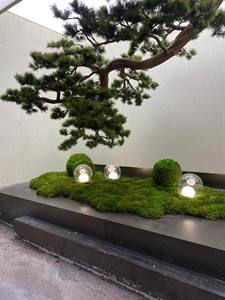 迎宾用的仿真松树，酒店会所窗户装饰，倒挂悬崖景观 - Product Image 2