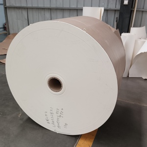 ม้วนกระดาษเคลือบ PE 150-320 แกรม สำหรับบรรจุภัณฑ์อาหารกันความชื้น - Product Image 5