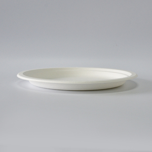 Meilleur Prix Assiettes jetables en bagasse de canne à sucre biodégradable de 10 pouces pour plats à emporter - Product Image 3