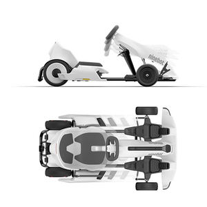 Gokart Eléctrico de Carreras Pro para Adultos - Uso en Exteriores, Marco de Aleación de Aluminio, Velocidad Máxima de 135 km/h - Product Image 4