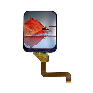 Nhà máy cung cấp TFT 240*280 pixel RGB Smartwatch <span class=keywords><strong>LCD</strong></span> hiển thị 1.69 inch - Product Image 6