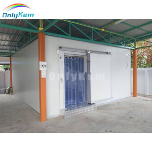 Chambre froide pour la maturation des bananes, chambre froide à marche-pied, <span class=keywords><strong>prix</strong></span> de la chambre froide - Product Image 2