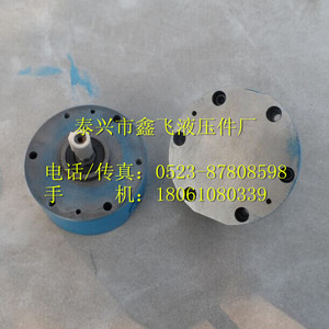 Pompes à huile bidirectionnelles cycloïdales réversibles 2KF-10 2KF-13 2KF-15 (TX TXSX FS) et pompes à huile de réduction - Product Image 1