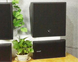 Système audio <span class=keywords><strong>cinéma</strong></span> professionnel NANT DM0820 avec boîtier en contreplaqué, puissance RMS 300W / puissance de crête 1200W, haut-parleur large bande - Product Image 2