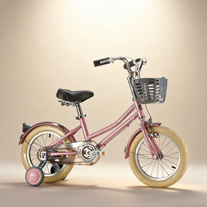 <span class=keywords><strong>จักรยาน</strong></span><span class=keywords><strong>เด็ก</strong></span>ผู้หญิง14นิ้วสำหรับ<span class=keywords><strong>เด็ก</strong></span>2-<span class=keywords><strong>10</strong></span>ปี<span class=keywords><strong>จักรยาน</strong></span>น่ารักสีชมพูราคาถูกคุณภาพดีจักรยาน12-20นิ้ว - Product Image 3
