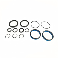 Kit de joints pour vérin hydraulique JLG 2902061 |   Kit de joints de rechange pour cylindres JLG