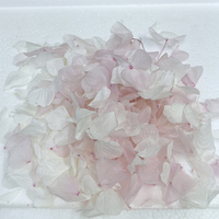 Pétales de rose véritable préservés de haute qualité, couleur blanc rose, éternels pour mariage, Saint-Valentin, remise de diplôme, Nouvel An, Noël